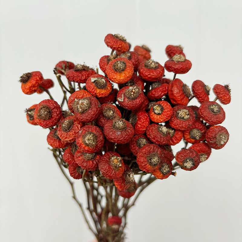 Dried Flower Bunch - 10 Stück/Bündel Getrocknete Hagebuttenbeeren Natürliche Trockenblumen