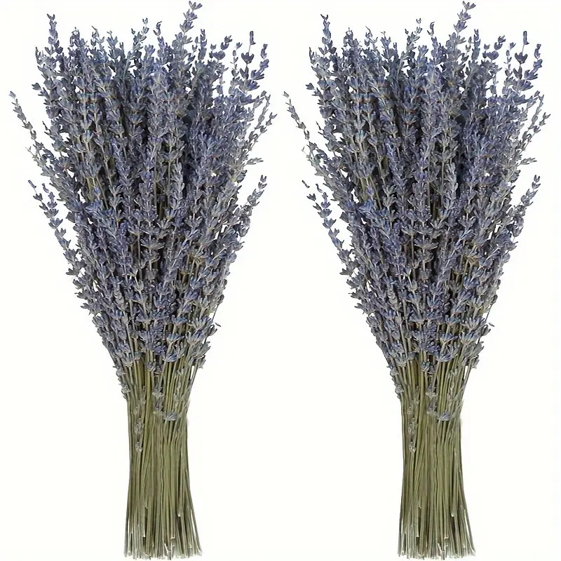 Dried Flower Bunch - 200 Stück/Bündel Getrockneter Lavendel für Wohnzimmerdekoration