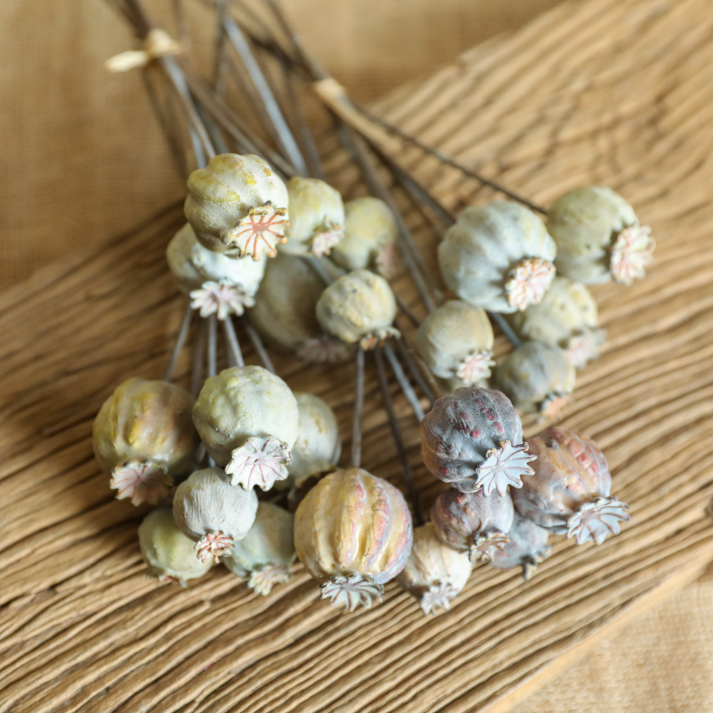 Dried Flower Bunch - 6 Köpfe Mohnblumen Obst getrockneten Blumenstrauß