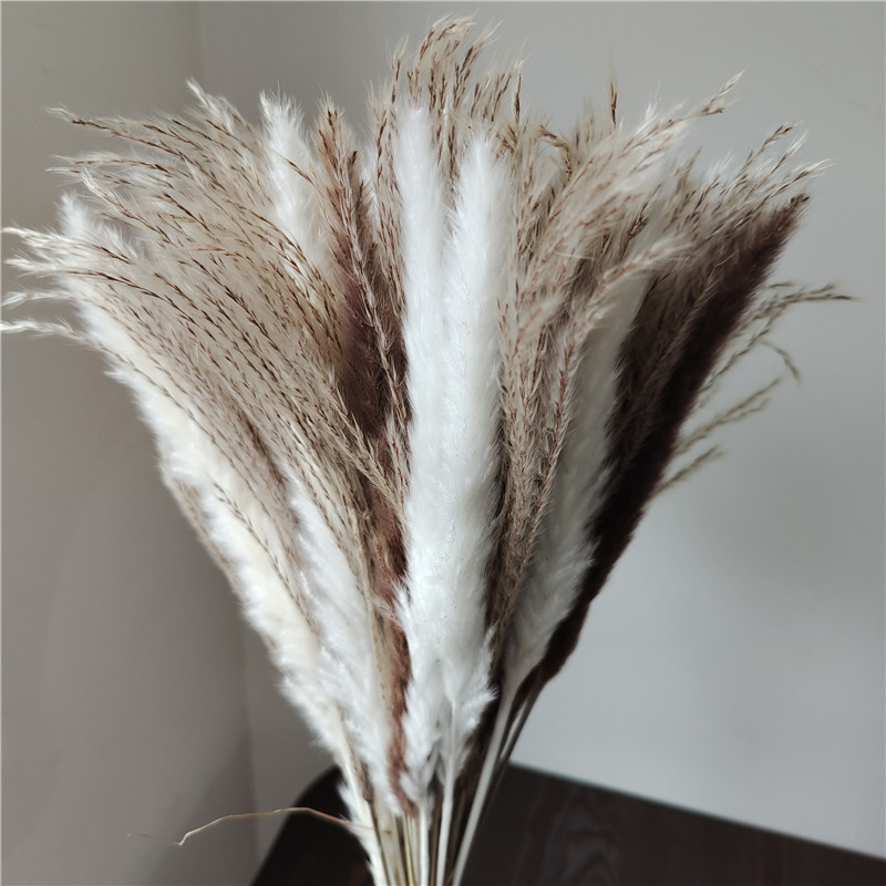 Dried Flower Bunch - 15/30 stücke Gemischte Getrocknete Blumenstrauß Kleine