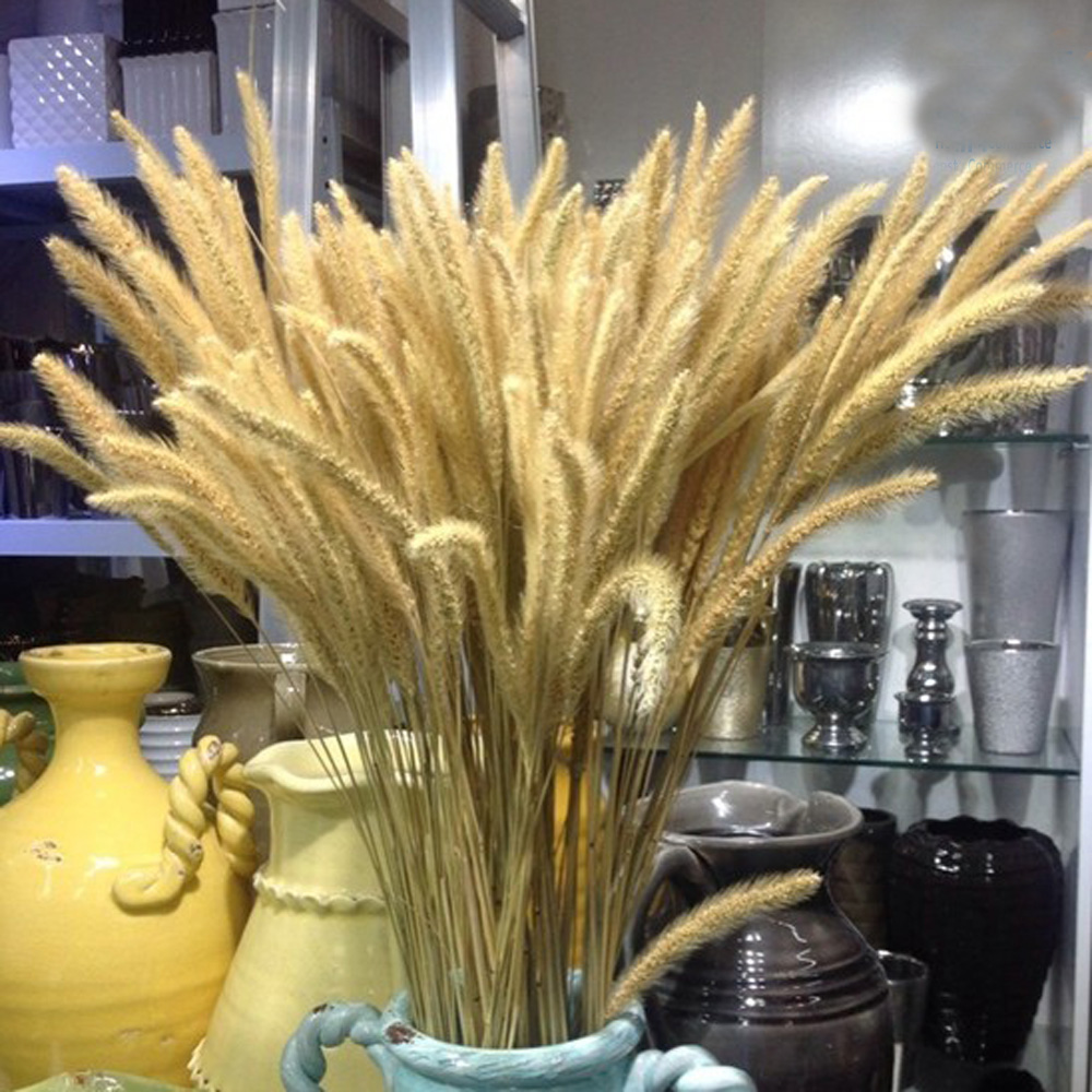 Dried Flower Bunch - 200 Stück natürliche getrocknete Lagurus ovatus-Blumensträuße
