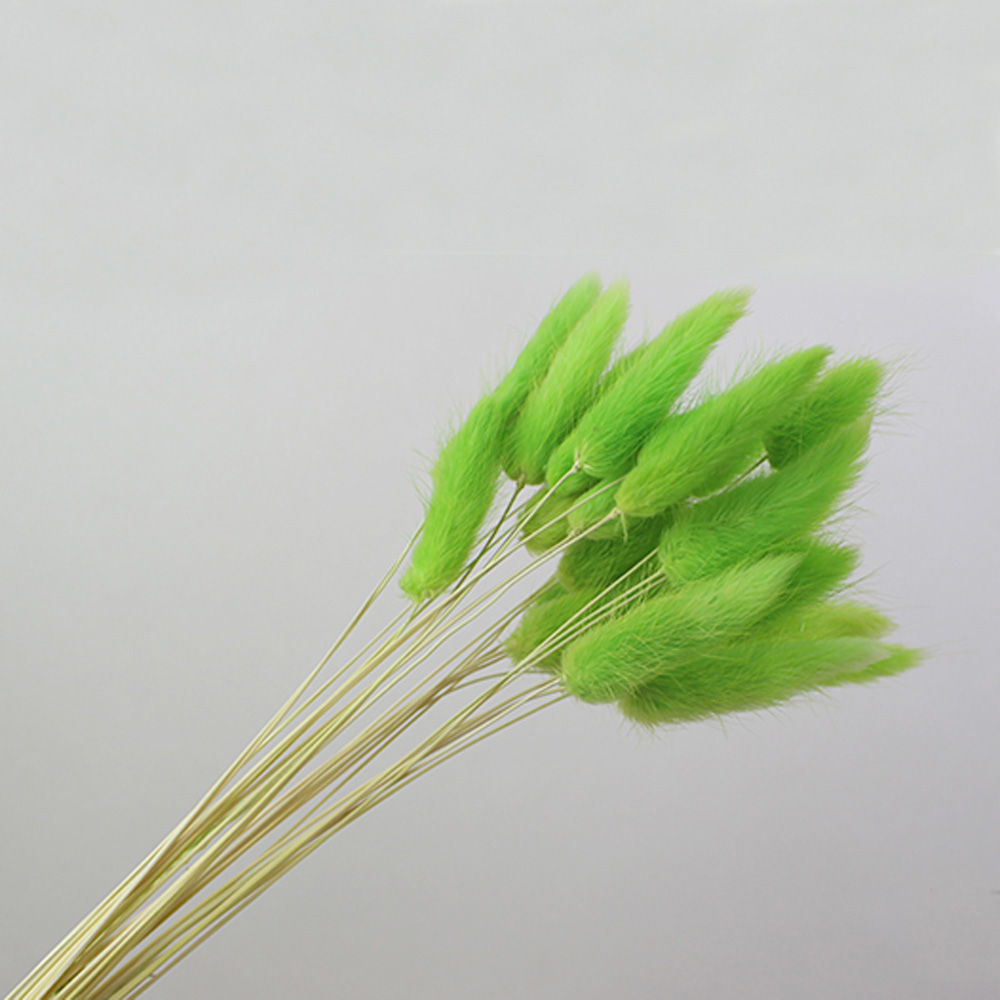 50 Stück getrocknete natürlich – Dried Flower Bunch Bewertung und Preis