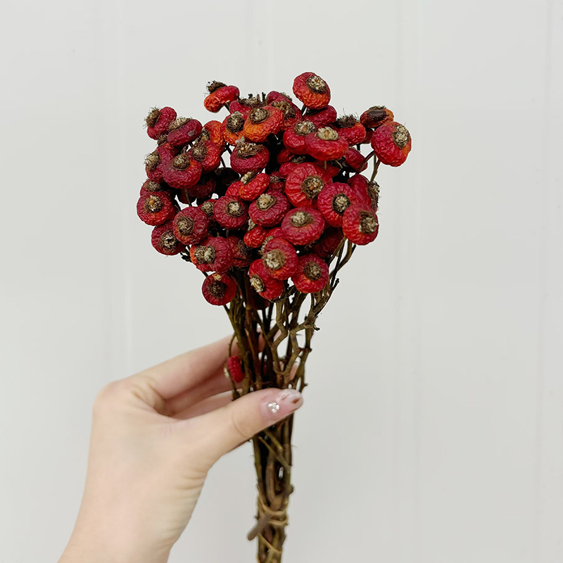 10 Stück/Bündel Getrocknete Ha – Dried Flower Bunch Bewertung und Preis