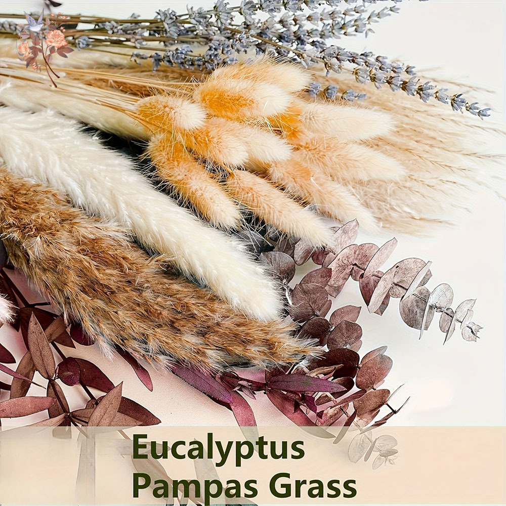 75 Stück getrockneter Pampas-E – Dried Flower Bunch Bewertung und Preis