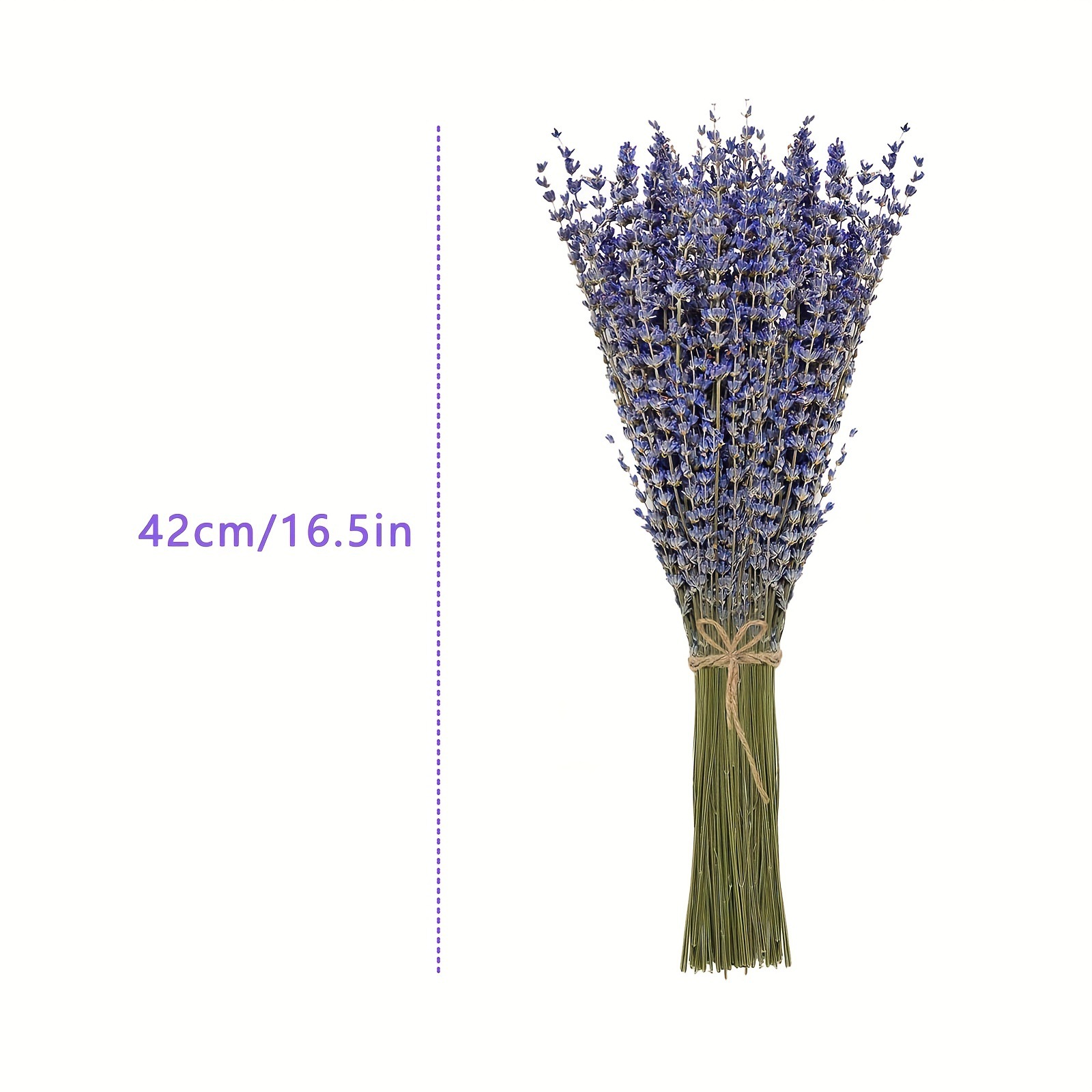 200 Stück/Bündel Getrockneter  – Dried Flower Bunch Bewertung und Preis