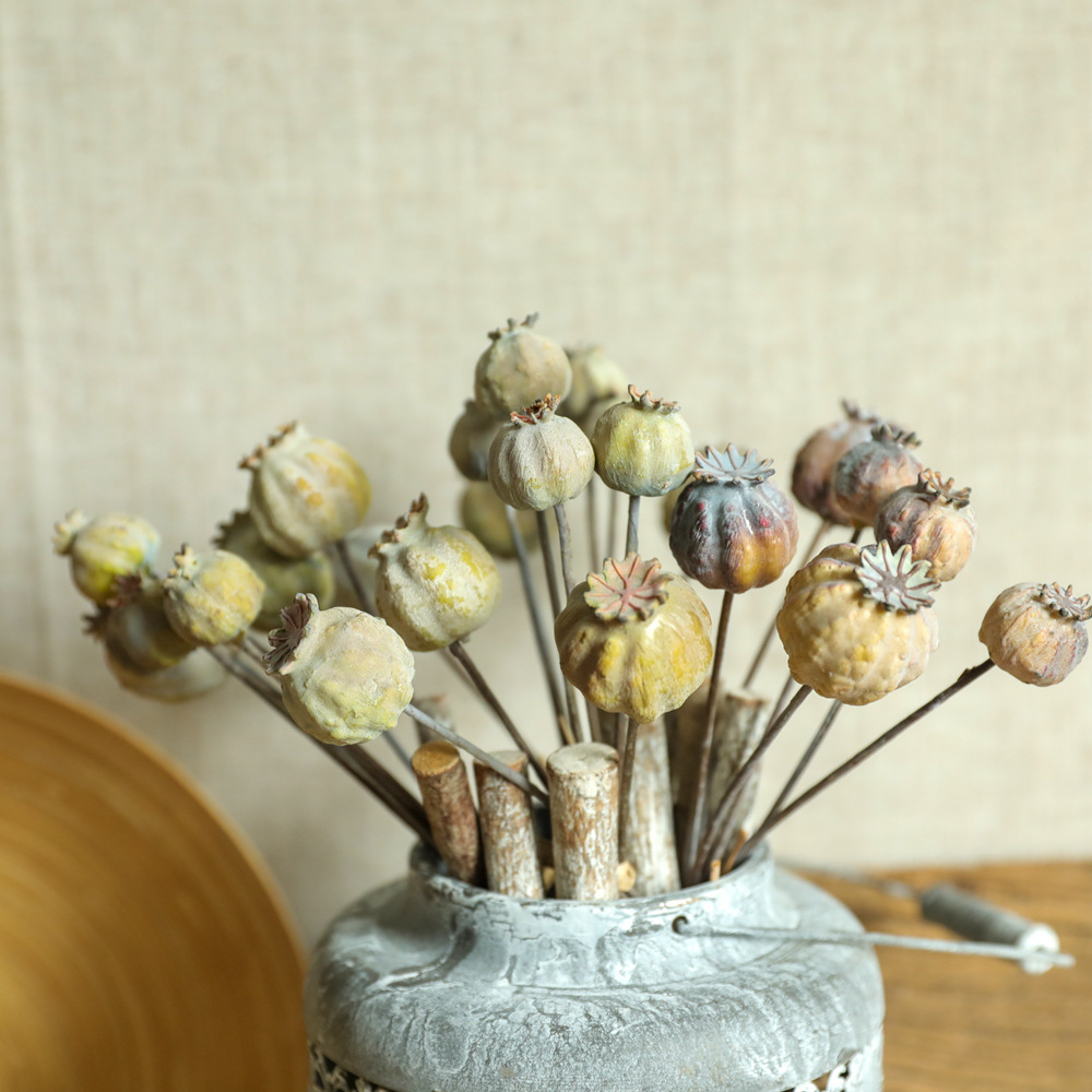 6 Köpfe Mohnblumen Obst getroc – Dried Flower Bunch Bewertung und Preis