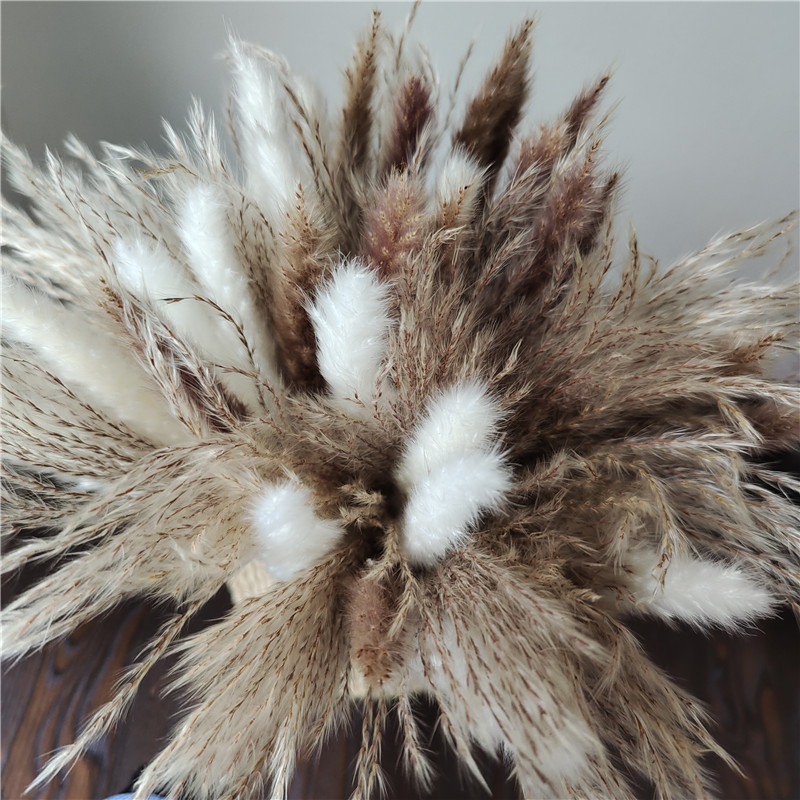 15/30 stücke Gemischte Getrock – Dried Flower Bunch Bewertung und Preis