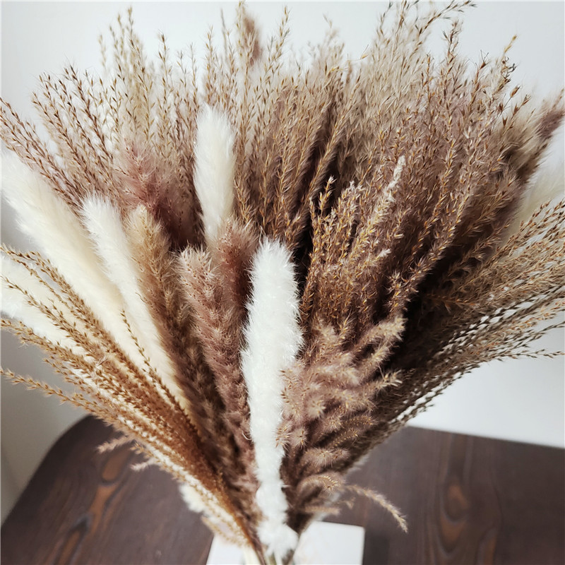 15/30 stücke Gemischte Getrock – Dried Flower Bunch Bewertung und Preis