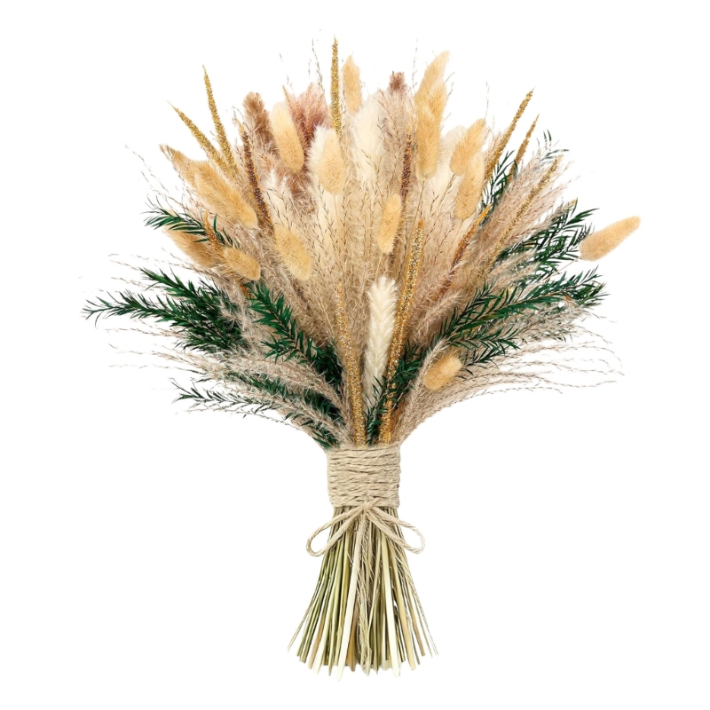 100 Stück getrocknete Pampasgr – Dried Flower Bunch Bewertung und Preis