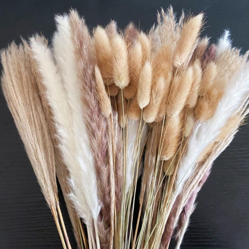 100 Stück getrocknete Pampasgr – Dried Flower Bunch Bewertung und Preis