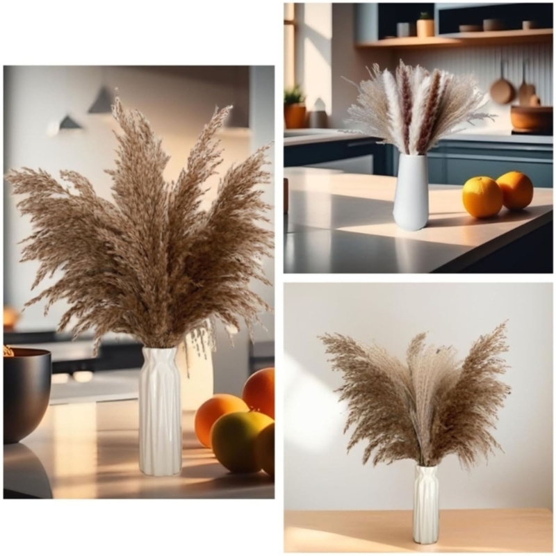 100 Stück getrocknete Pampasgr – Dried Flower Bunch Bewertung und Preis