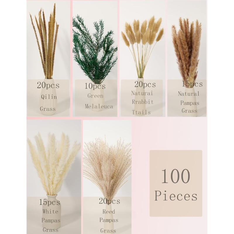 100 Stück getrocknete Pampasgr – Dried Flower Bunch Bewertung und Preis