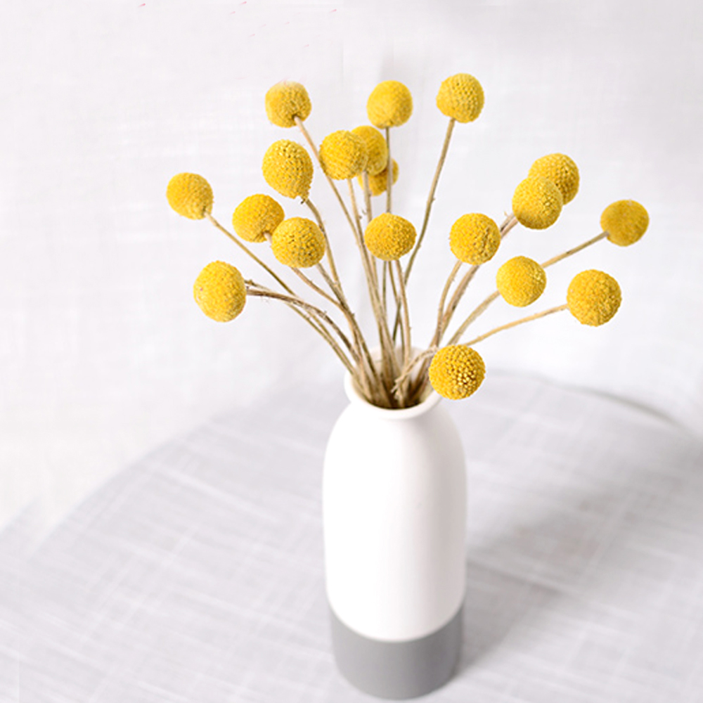 20 Stück natürliche getrocknet – Dried Flower Bunch Bewertung und Preis