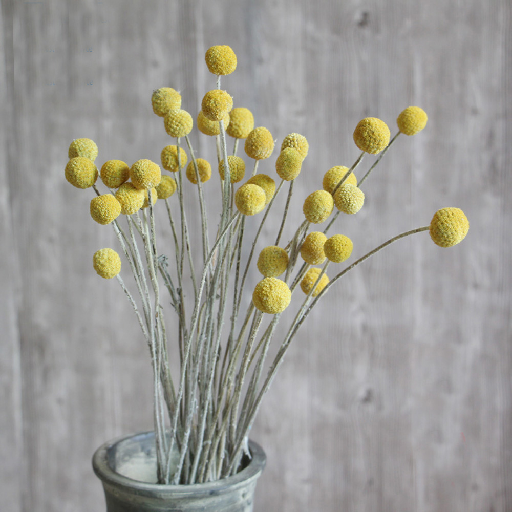20 Stück natürliche getrocknet – Dried Flower Bunch Bewertung und Preis