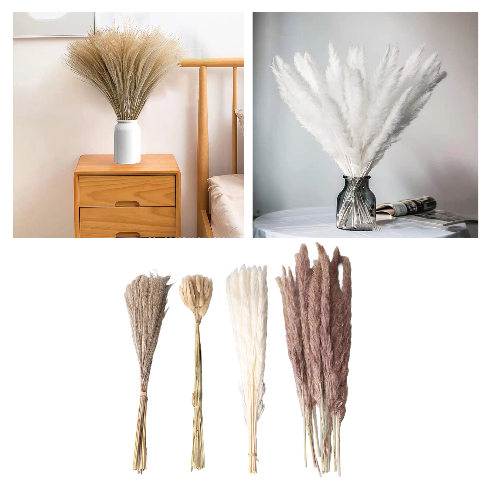 Natürliches Getrocknetes Pampa – Dried Flower Bunch Bewertung und Preis
