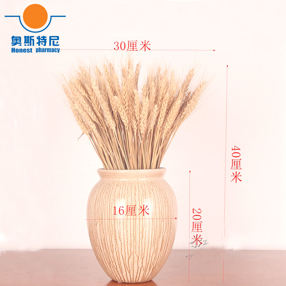 50 Stück natürliche getrocknet – Dried Flower Bunch Bewertung und Preis