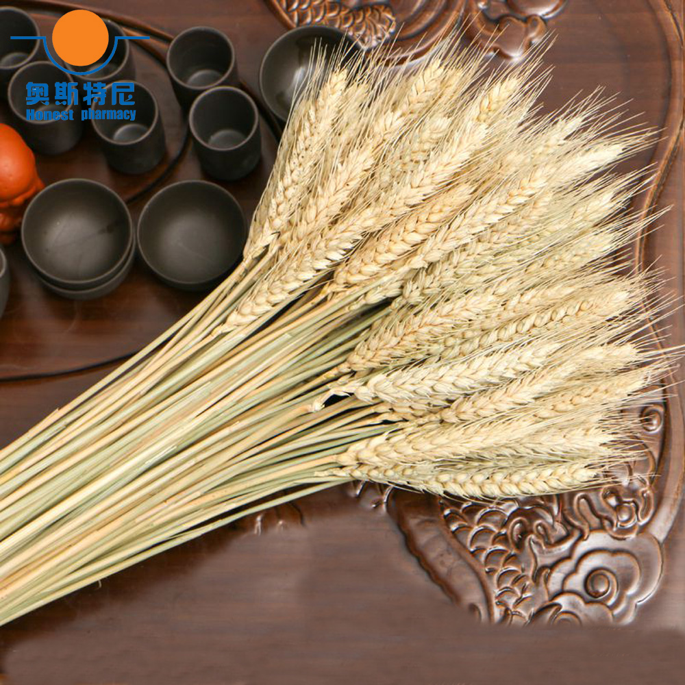 50 Stück natürliche getrocknet – Dried Flower Bunch Bewertung und Preis