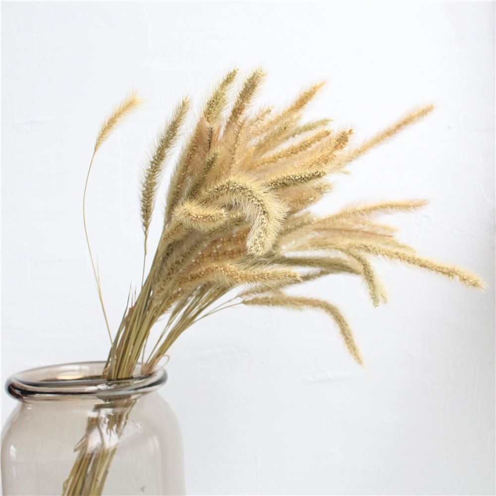 200 Stück natürliche getrockne – Dried Flower Bunch Bewertung und Preis