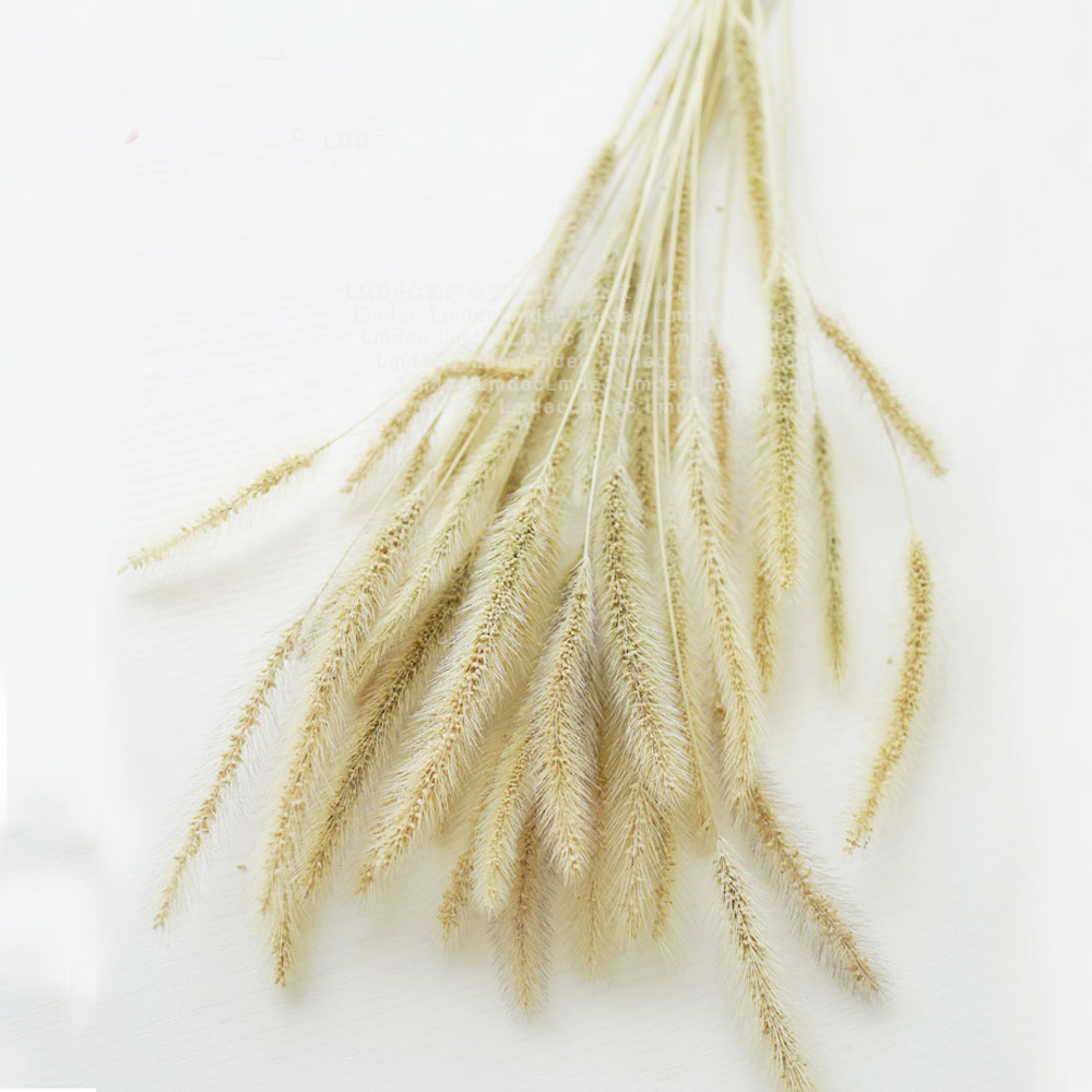 200 Stück natürliche getrockne – Dried Flower Bunch Bewertung und Preis