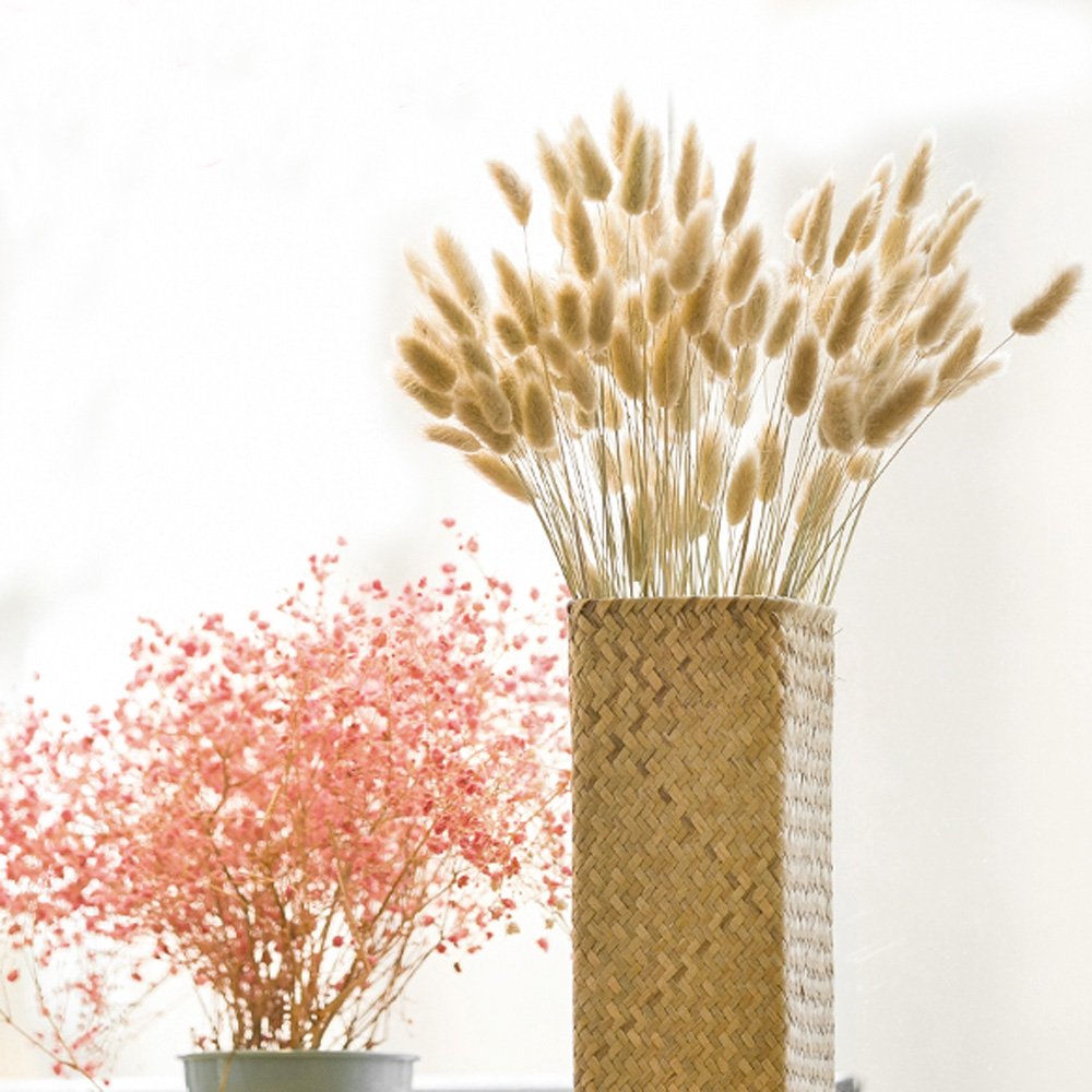 200 Stück natürliche getrockne – Dried Flower Bunch Bewertung und Preis