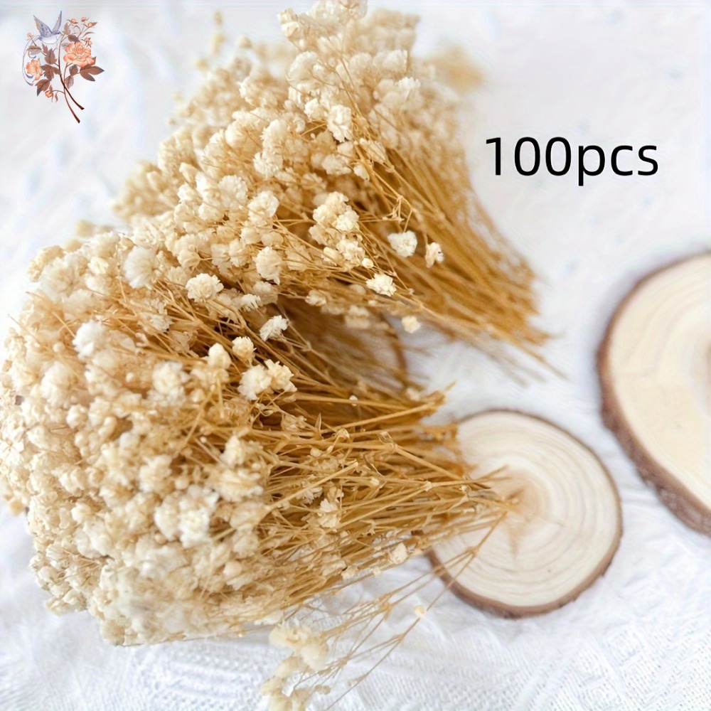 100 Stück Mini Getrocknete Sch – Dried Flower Bunch Bewertung und Preis