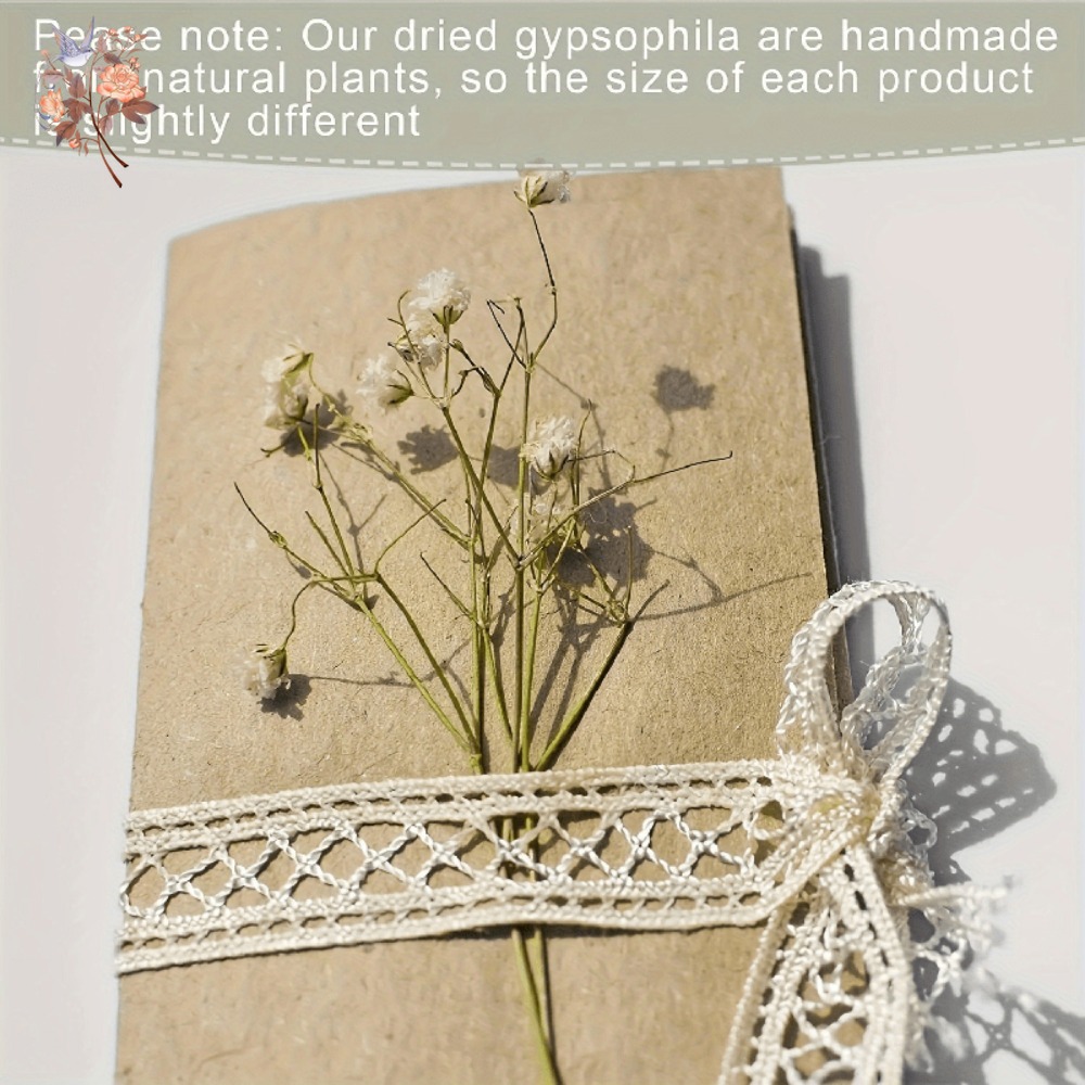 100 Stück Mini Getrocknete Sch – Dried Flower Bunch Bewertung und Preis